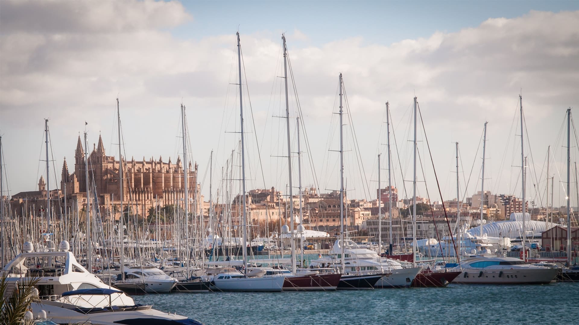 🏝️ Mallorca Urlaub Ratgeber und Tipps 🏝️
